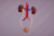 Nephro-urologie