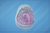 Cytologie