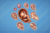 Embryologie